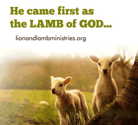 The-lamb-of-god GIFs - Get the best GIF on GIPHY