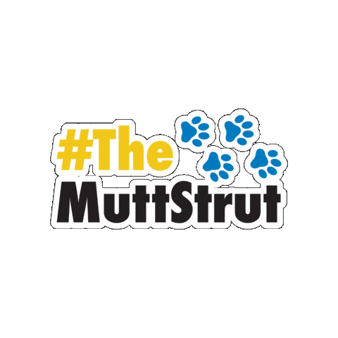 Servicedogs Sticker by Rachel G.