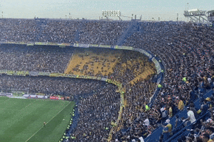 Latin America Soccer GIF