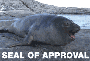 Seal Of Approval Thumbs Up GIF