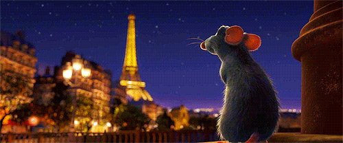 Image result for ratatouille gif