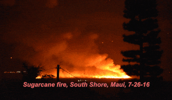 marywhisperingwind hawaii pollution maui hc&s GIF