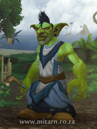 World of Warcraft: General - What do you do when someone flames and try to make you feel your worst? image 2