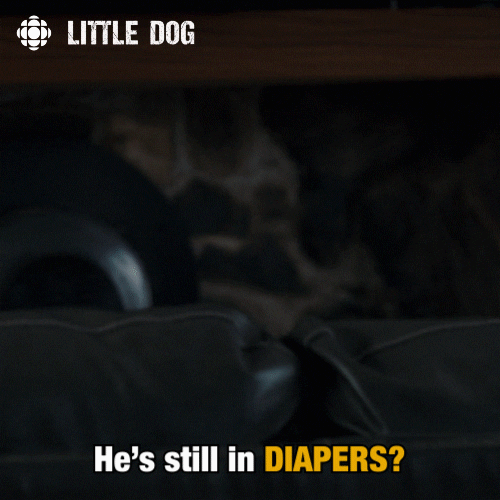 little dog comedy GIF by CBC