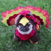 Halloween Blinking GIF