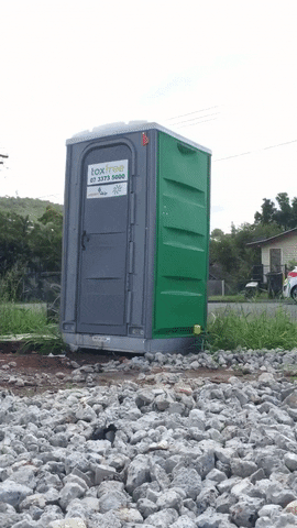 trend  GIF