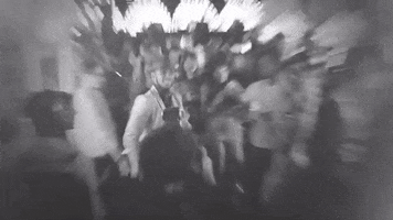 bee  GIF