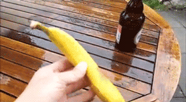 Lifehack GIFs - Find & Share on GIPHY