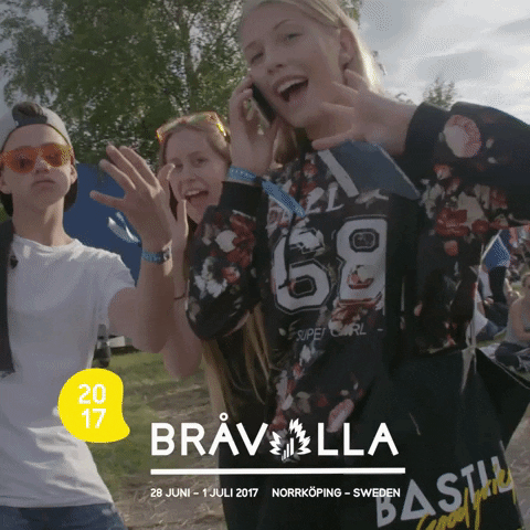 Brã¥Valla GIF by Bråvalla Festival