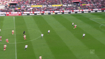 2. bundesliga football GIF by 1. FC Köln