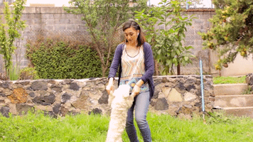 soyvanden bailarines de amor perritus GIF