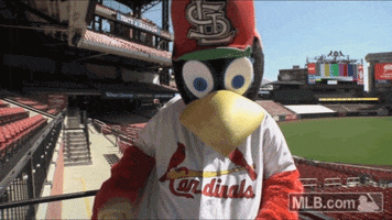 St Louis Cardinals Camera GIF by MLB