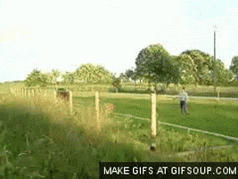 Video gif. Brown horse gallops and leaps over a hurdle, then keeps running.