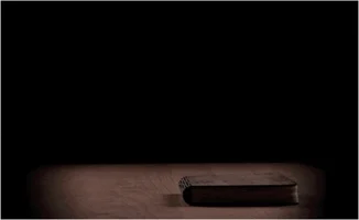 book worm GIF