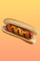 Hot Dog Barbeque GIF by Shaking Food GIFs