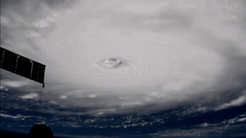 space hurricane GIF by NASA