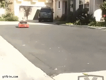 Kid Winning GIF - Find & Share on GIPHY