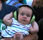  baby concert headphones cans GIF