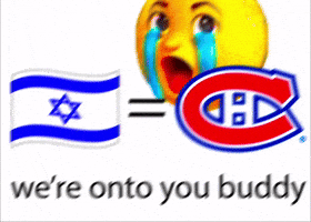 Toronto Maple Leafs Nhl GIF