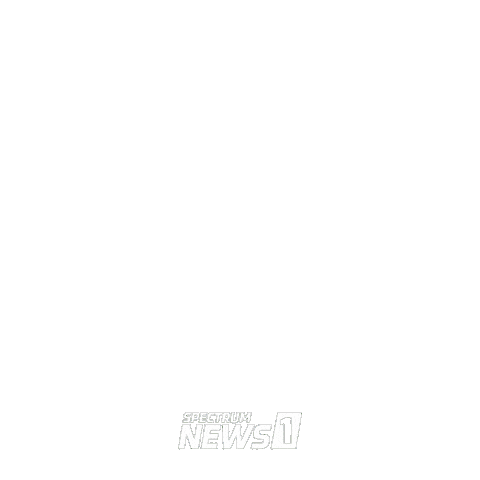 Blue Flowers Spring Sticker by Spectrum News NY1