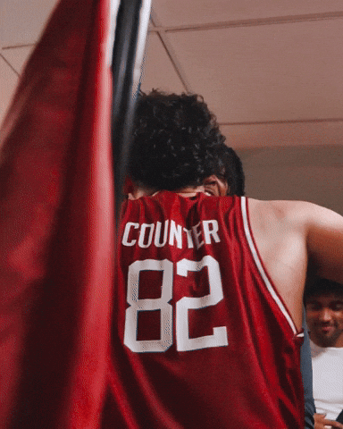 College Of Charleston Cougars GIF by Charleston Basketball