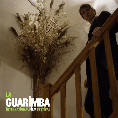 Scared Who Knows GIF by La Guarimba Film Festival