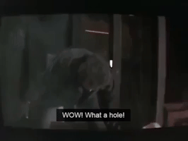 Colbert ass hole Colbert ass hole