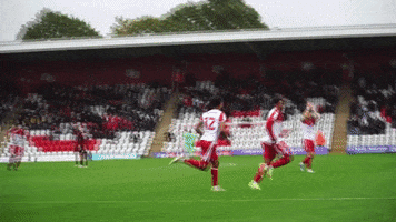 Greatertogether GIF by Stevenage Football Club