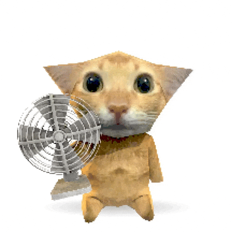 Cat Ventilator GIF