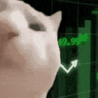 Cat Vibes GIF by Evergreen Cannabis
