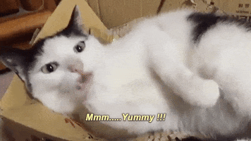 tomliou guai eat his hands GIF