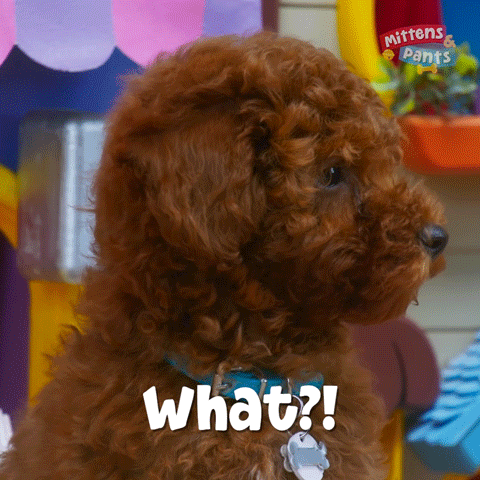 Excuse Me What GIF by Mittens & Pants