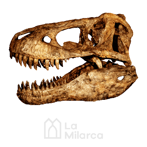 La Milarca Museo Sticker