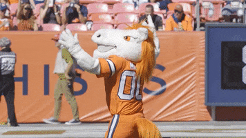 Football Nfl GIF by Broncos