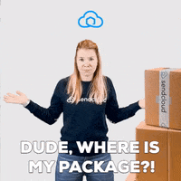 Missing Lost And Found GIF by Sendcloud