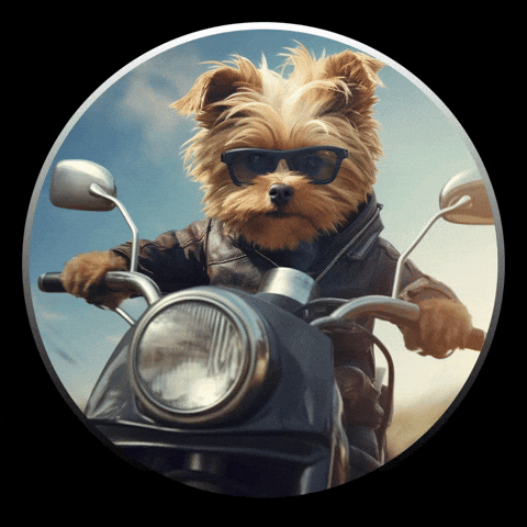 Honda Motos Perú Oficial GIF