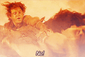 the lord of the rings sam GIF