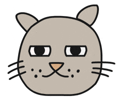 Cat Tears GIF by Thank You Coffee