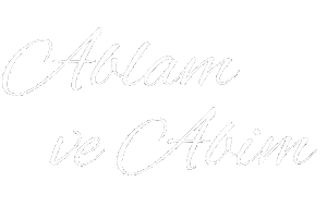 Abi Aile Sticker