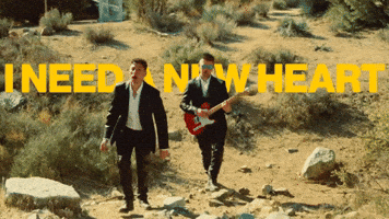 New Heart GIF by Crash Adams