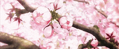 Anime GIF
