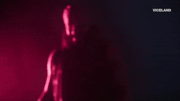 randy savage wrestling GIF by DARK SIDE OF THE RING