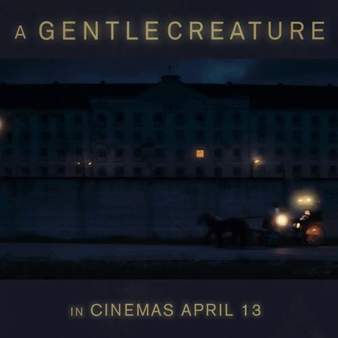 a gentle creature GIF