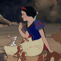 Snow White Hello GIF by Disney Princess