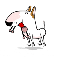 Happy Bull Terrier GIF by Jimmy the Bull