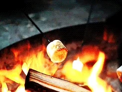 smores GIF