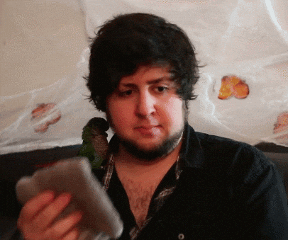 giphy.gif