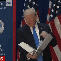 Donald Trump Reaction GIF