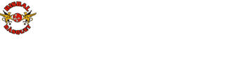 Basketball Sticker by Bisbal Bàsquet