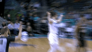 waving charlotte hornets GIF by NBA